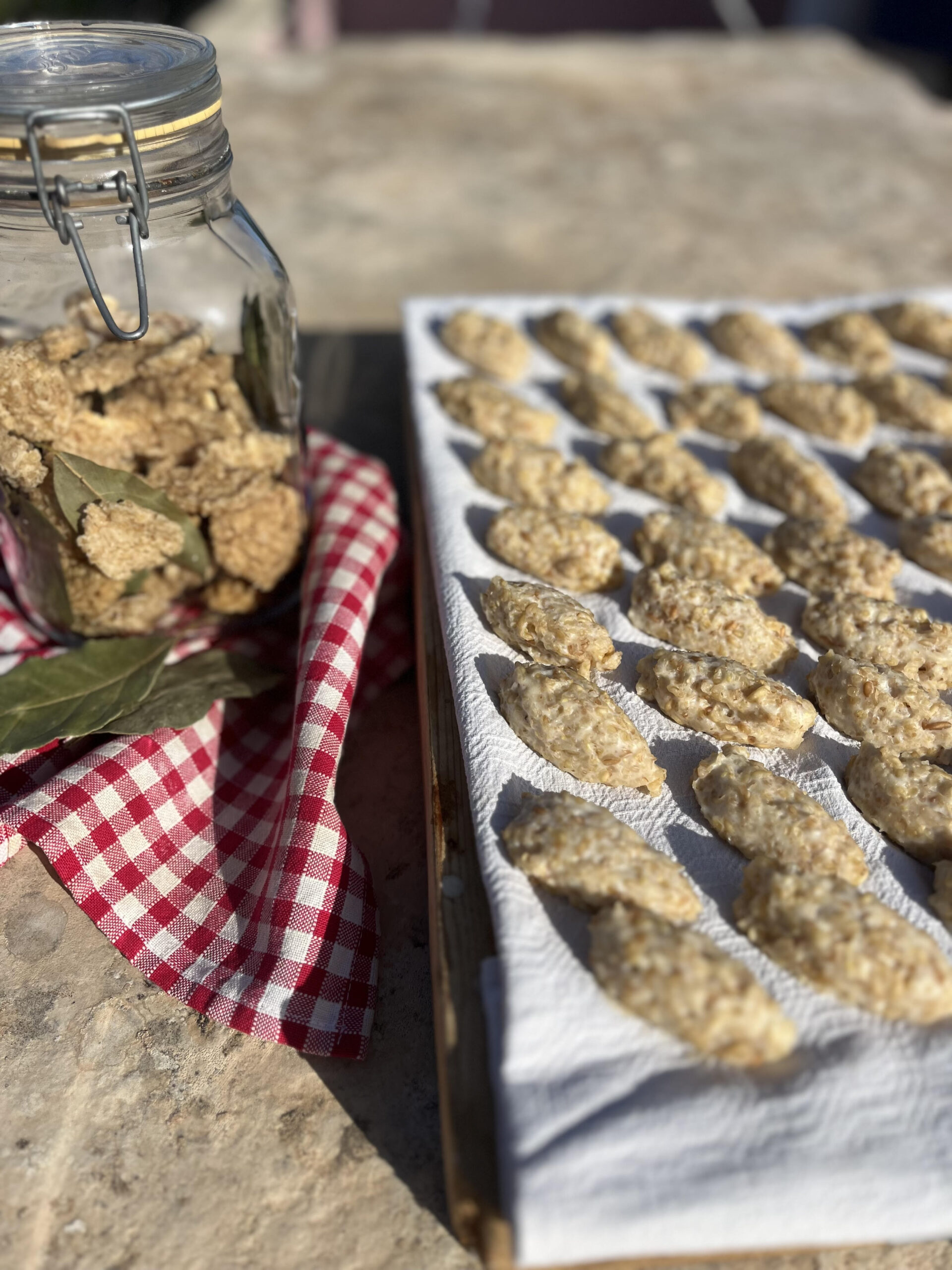 the-wheat-cycled-1-scaled