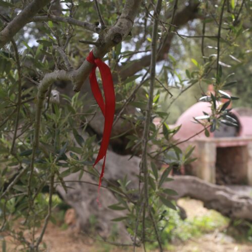 Cretan Treasure Ingredient Hunt kretische Kreta Schatzsuche Schnitzeljagd Zutaten suche Apokoronas Chania Families small groups with children kids hands on Familien kleine Gruppen